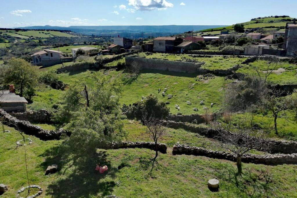 Casa Vacanze Janas Villa Ruinas Exterior foto